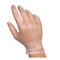 Examgards Handgards Exam Gards Powder Free Large Vinyl Glove, PK1000 304362073 - alternate 2
